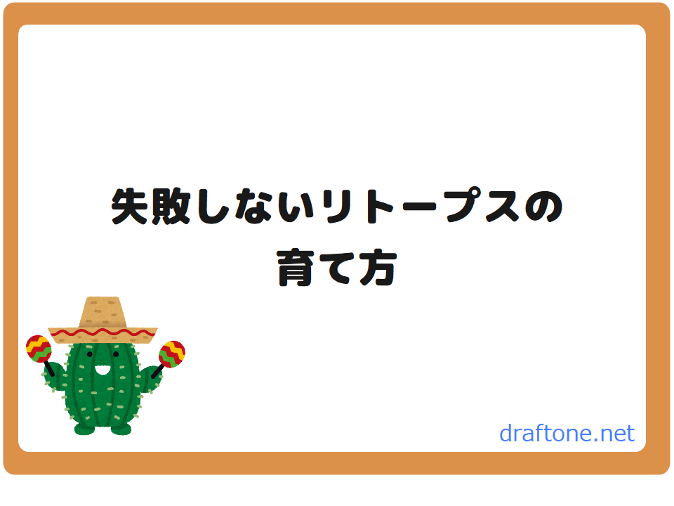 失敗しないリトープス Lithops の育て方 冬型 Draftone Blog 失敗しないリトープス Lithops の育て方 冬型 Draftone Blog