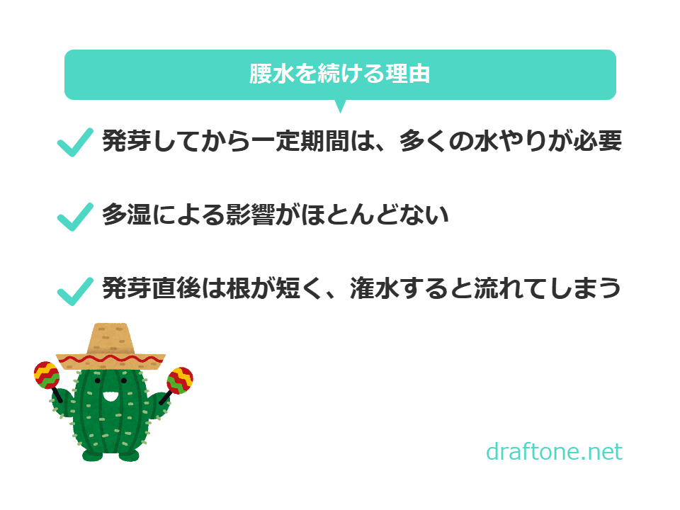 失敗しない 多肉植物での腰水の方法について Draftone Blog