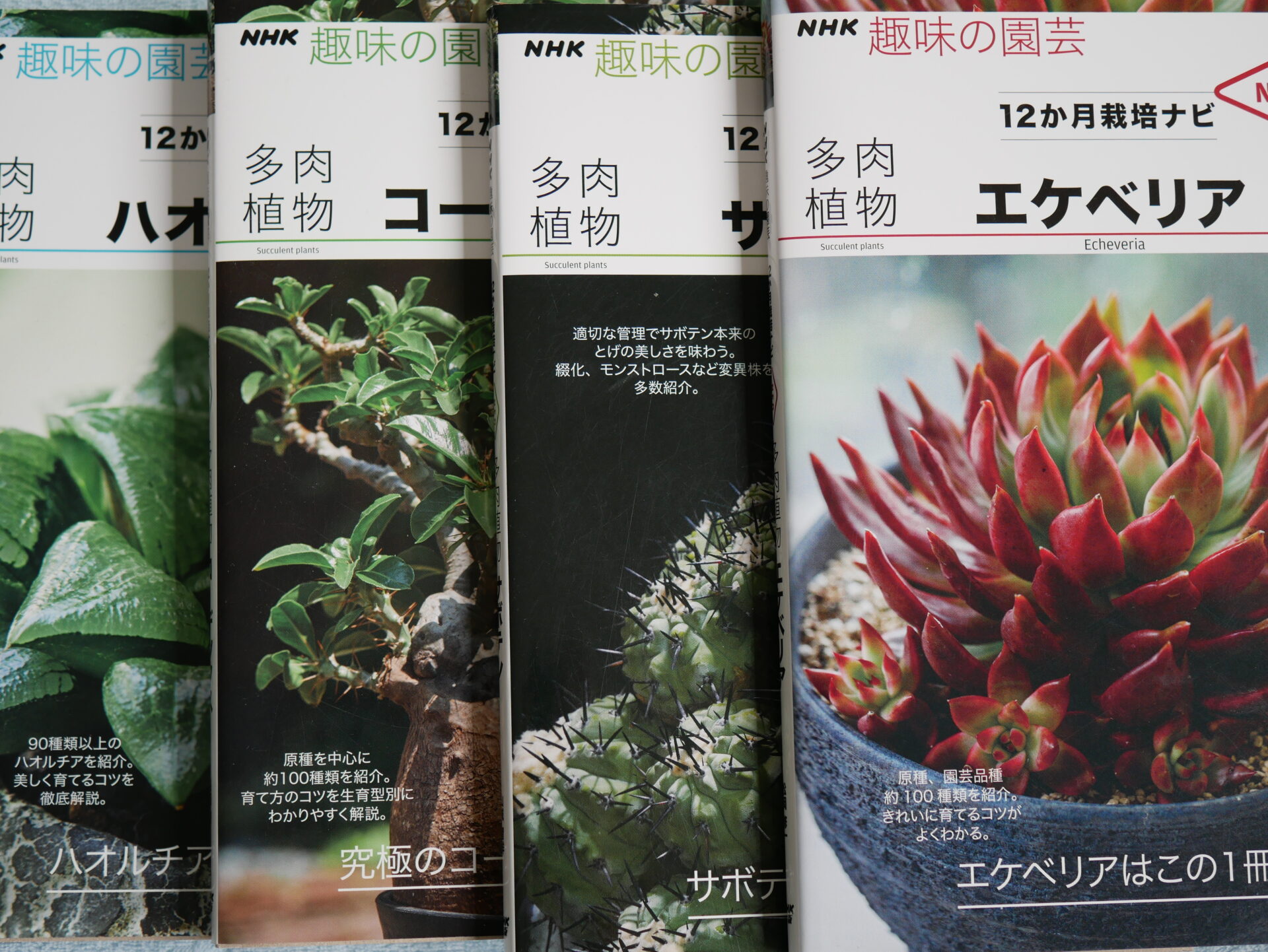 多肉植物系のnhk趣味の園芸12か月栽培ナビneoは買いか Draftone Blog